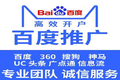 专业SEM托管服务成功案例分享